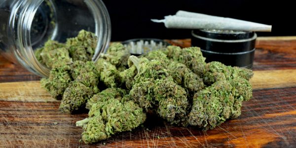 Best Mom Canada Online Dispensary and its Benefits