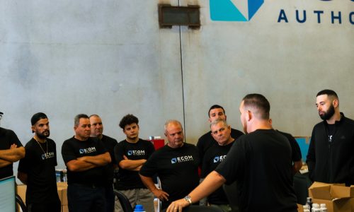 Maximize Your Ecom Authority: Expert Tips And Strategies