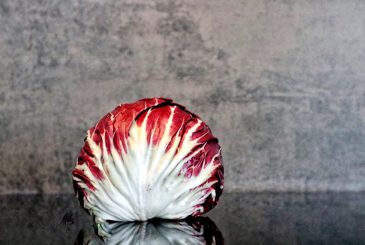 Salad, radicchio, food — Plan Your Health and Budget with TRT