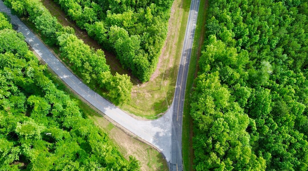 Aerial view of two roads intersecting in a green forest area.