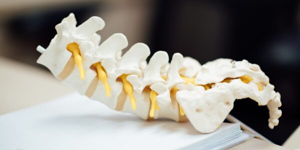 spine care
